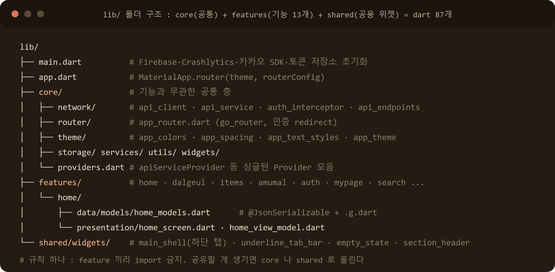 Flutter lib 폴더 구조: core, features 13개, shared 위젯. dart 87개